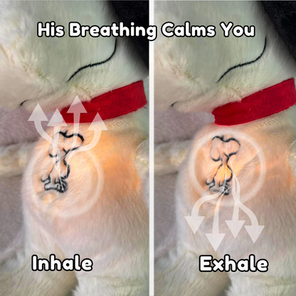Breathing Plushie for Anxiety